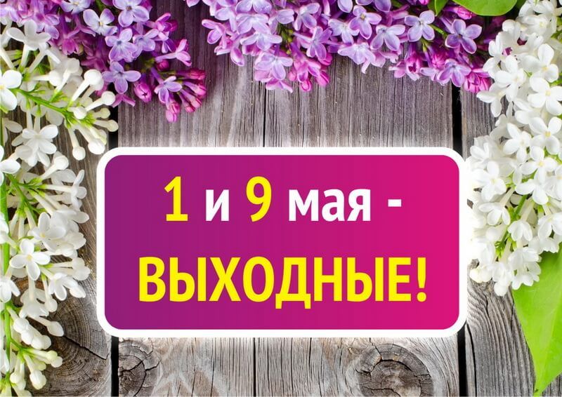 График работы центра в выходные и праздничные дни